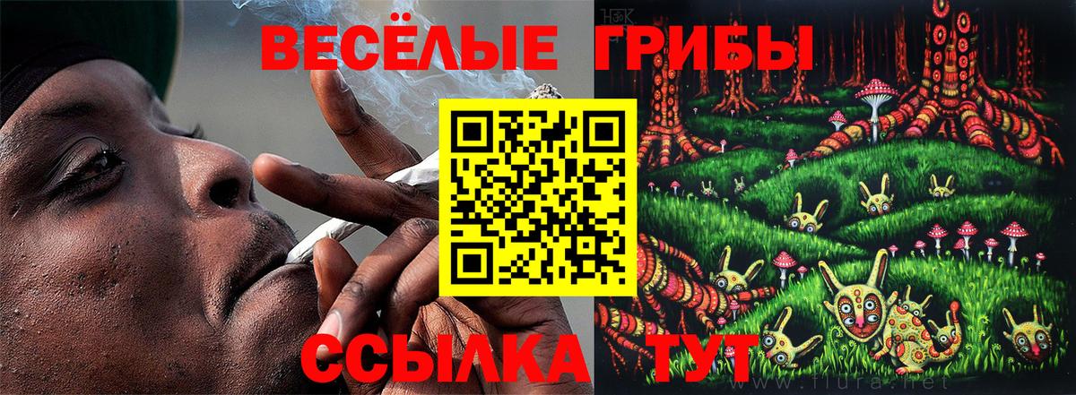Галлюциногенные грибы ЛСД  Вход с VPN  Псилоцибиновые грибы GOLDEN TEACHER  Ирбит 